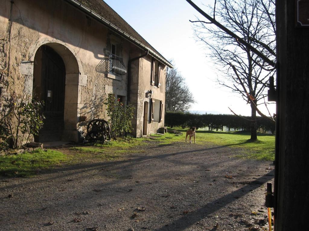 Chez Robert Et Catherine Dompierre-sur-Mont 部屋 写真